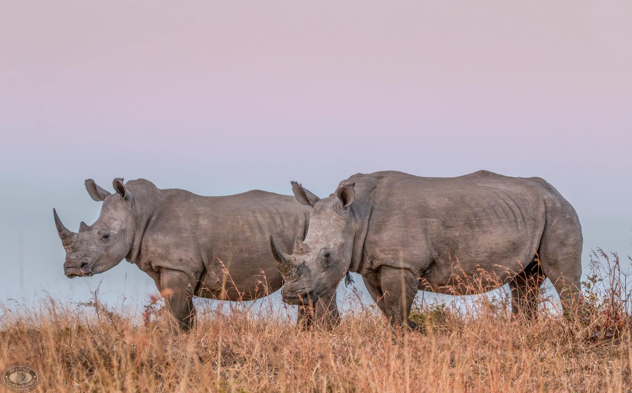 big-5-safari-holiday-2048x1274